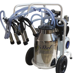 MACHINE À TRAIRE VACHE DOUBLE AVEC BIDON 40L EN INOX