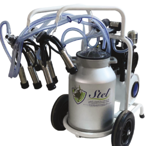 MACHINE À TRAIRE VACHE DOUBLE AVEC BIDON 40L EN ALUMINIUM